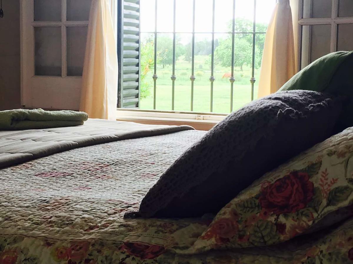 필라르 The Polo House B&B 외부 사진